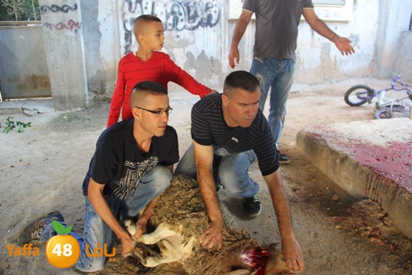 dabe7 ludj31 (79).JPG